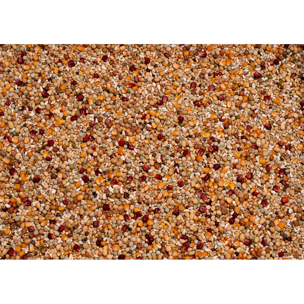 Galaxy Kweek 20 kg - Beyers