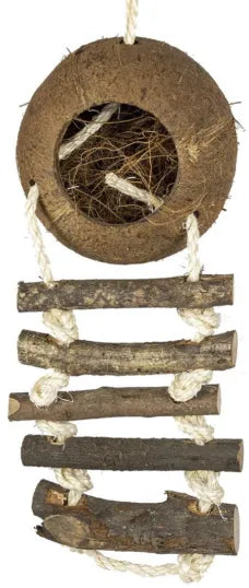 Cocos nesten ( 2 ) met ladder