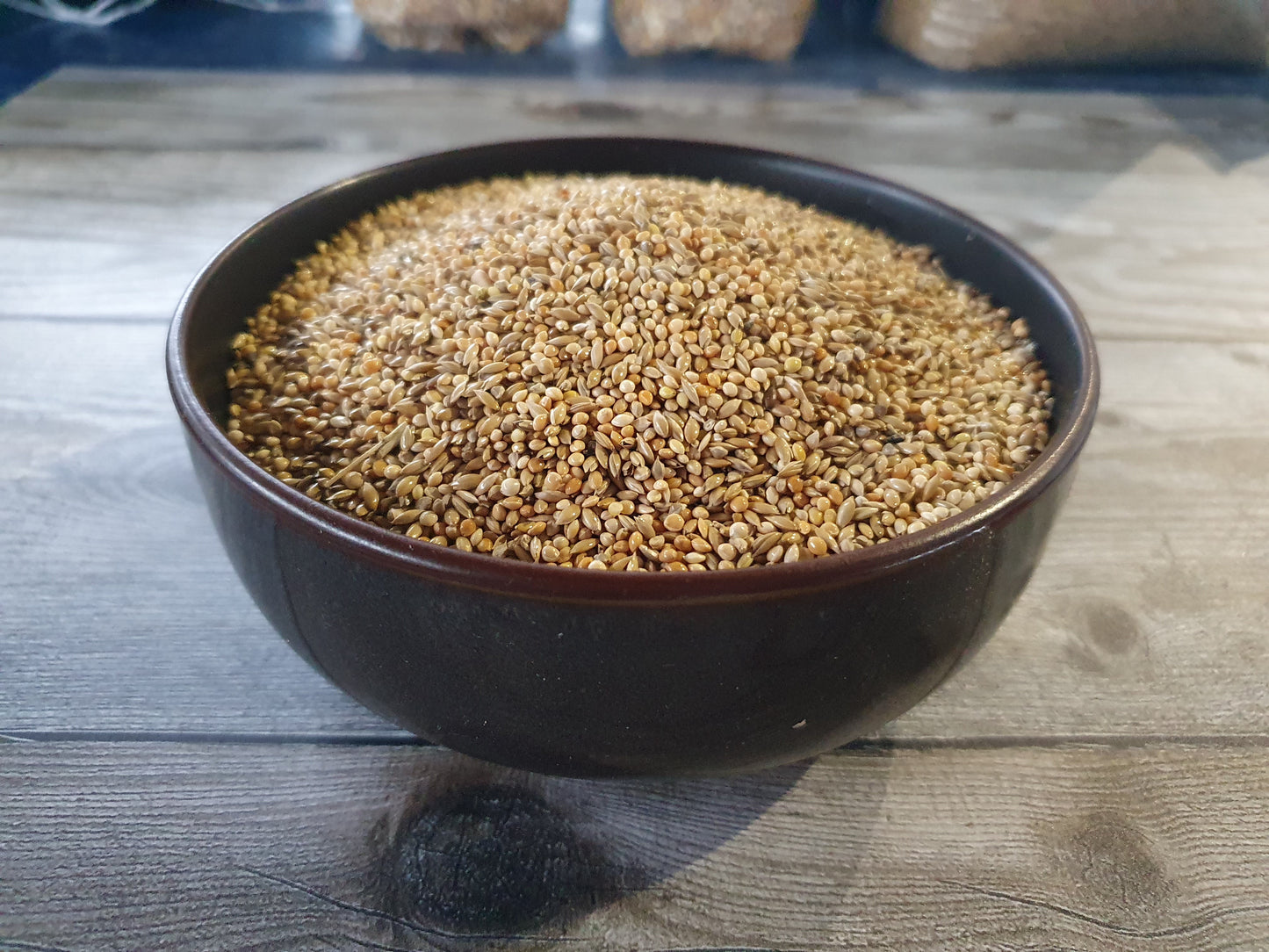 Exoten Michotte Goulds 20kg ( AANGEPASTE VERPAKKING ) - Hobbyfarm Hoebregts