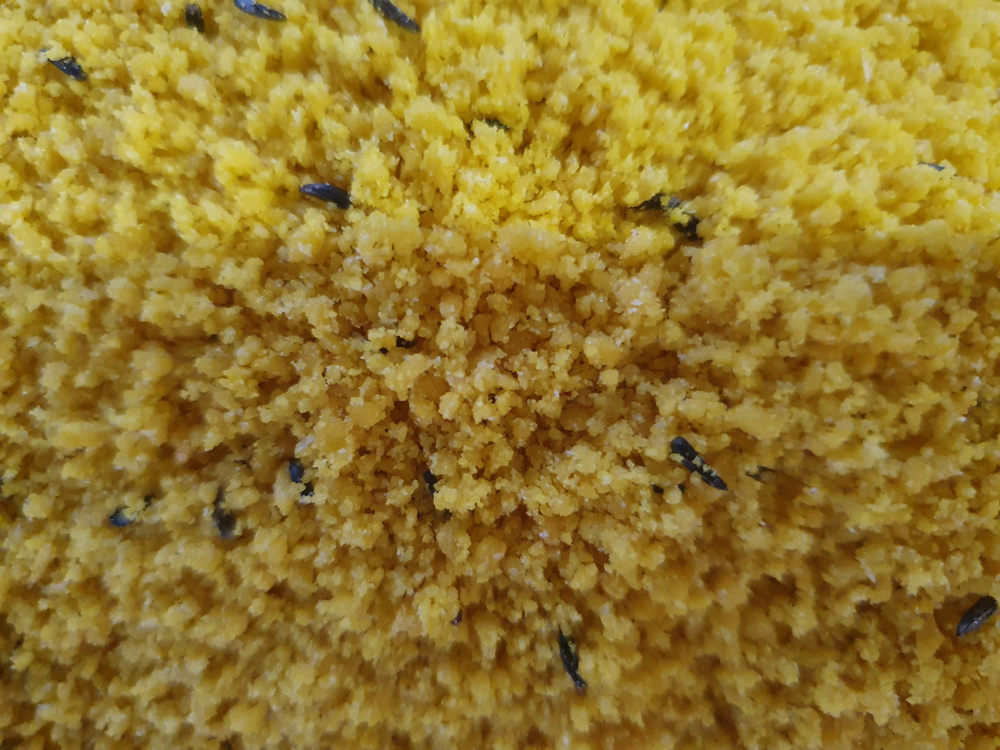 Opfok Eivoer Bird-X Bravo Geel Super Vochtig 4kg