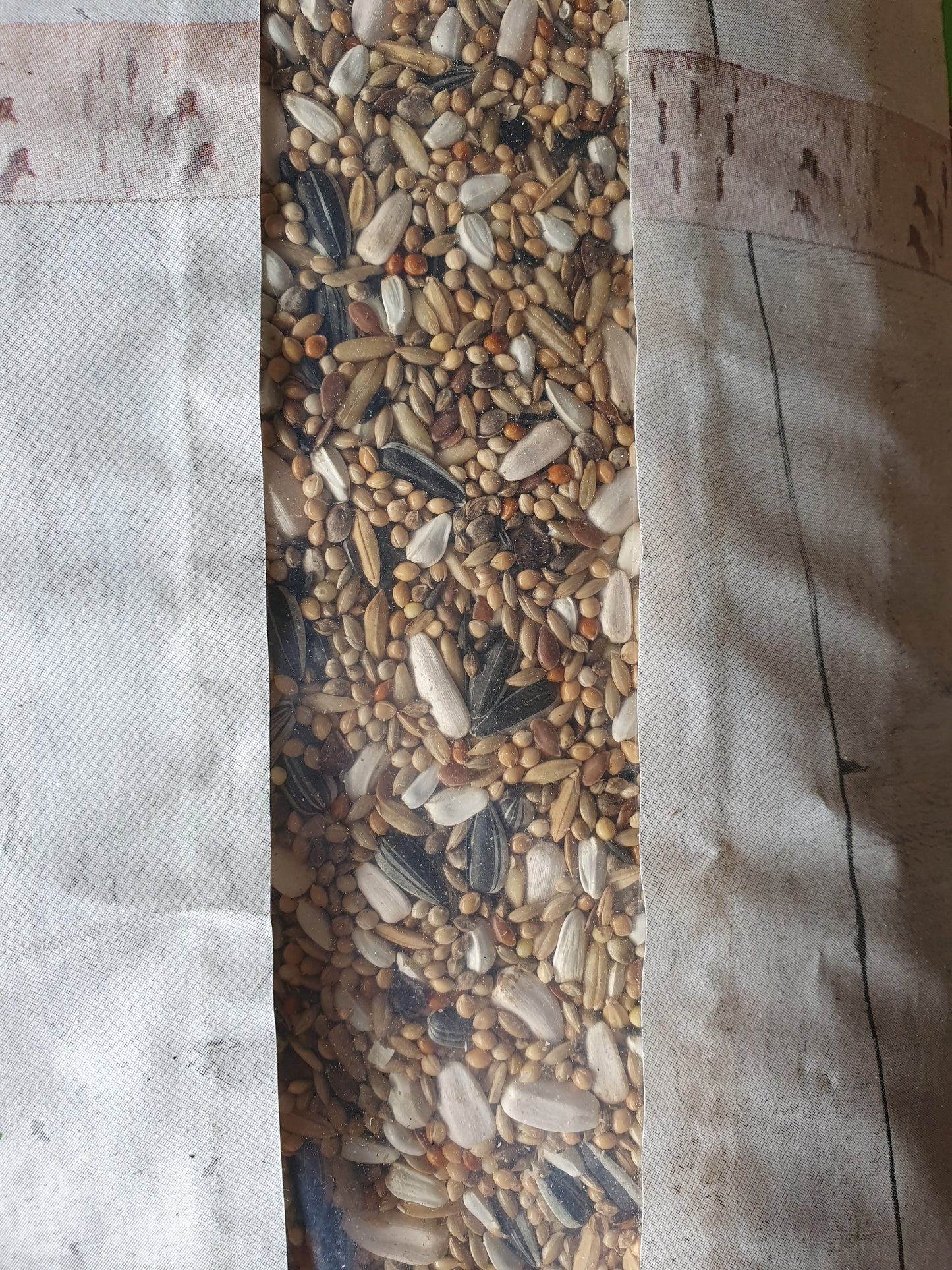 King Grote Parkieten Kwaliteit Mengeling 1kg