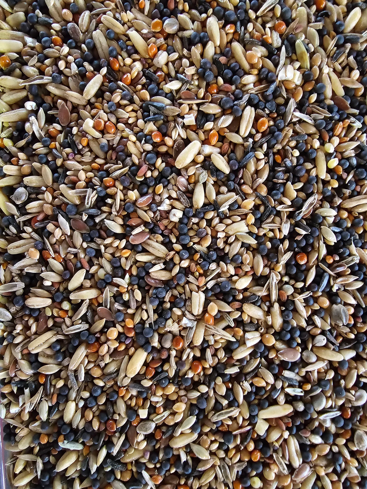 Vitakraft Health Seeds.