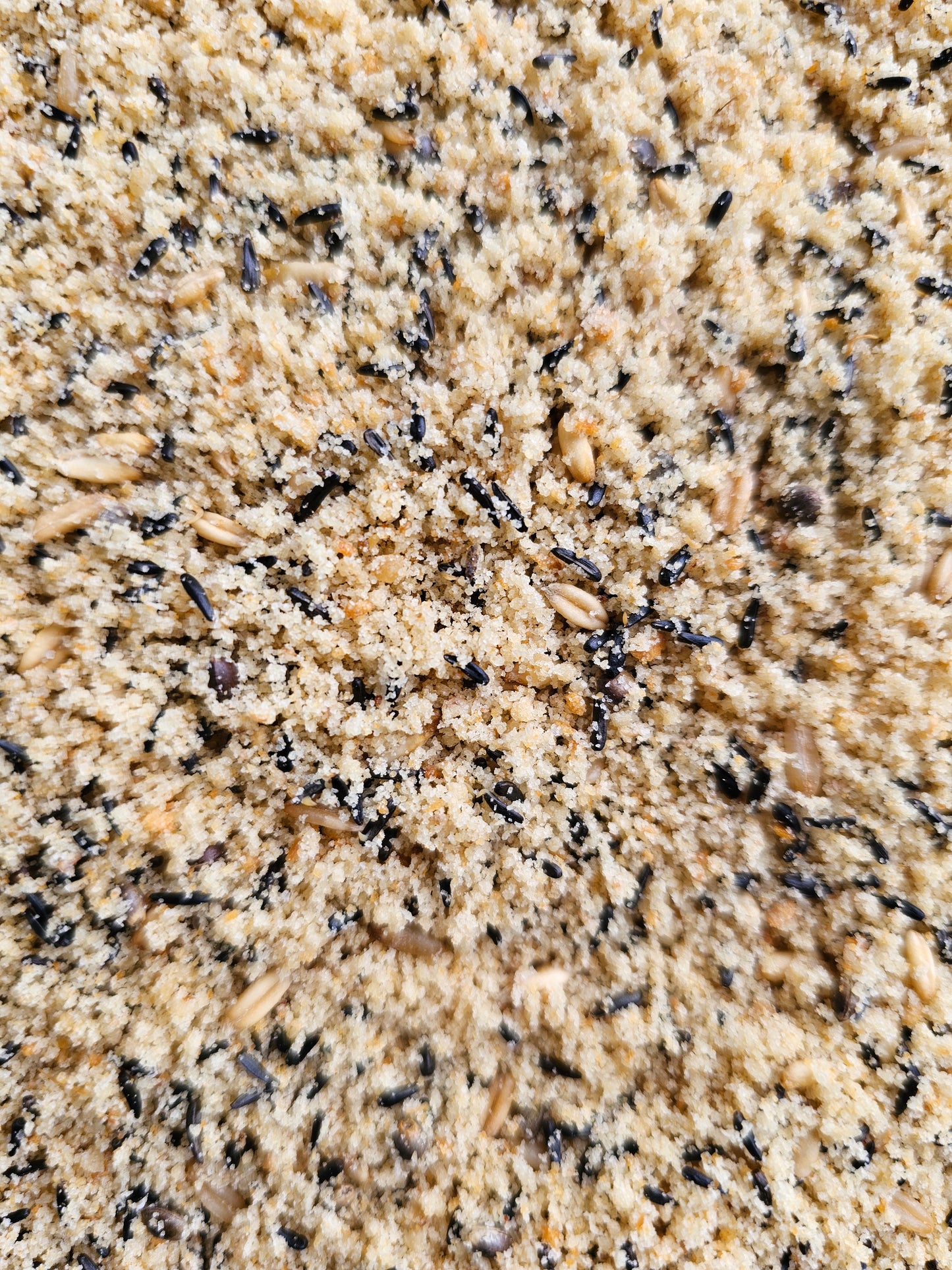 LUS Soft BG23 Bianco Eivoer 1kg + Germix