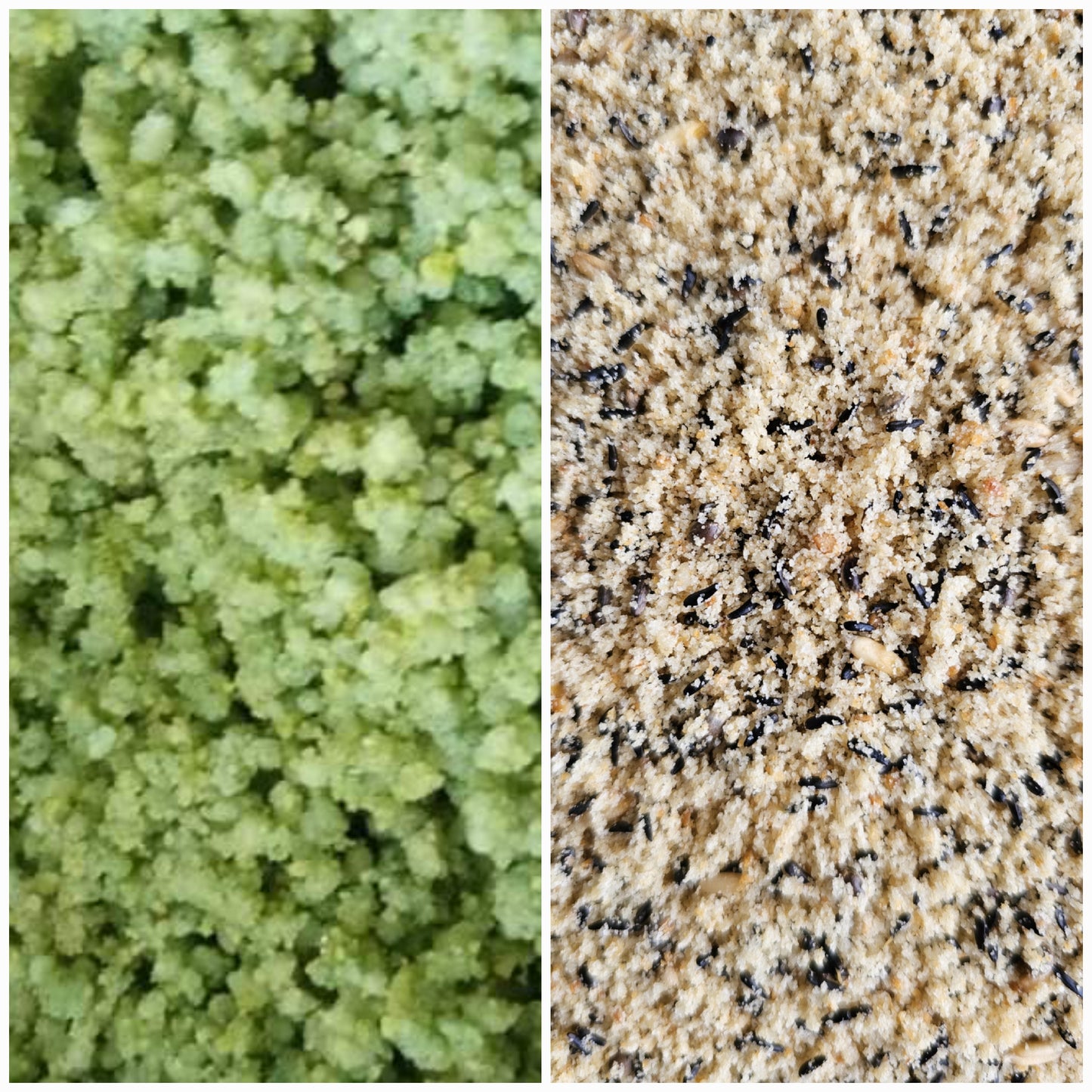 Fast Multipower Carduelis en Spinus 1kg + LUS Soft BG23 Eivoer 1kg ( met germix )