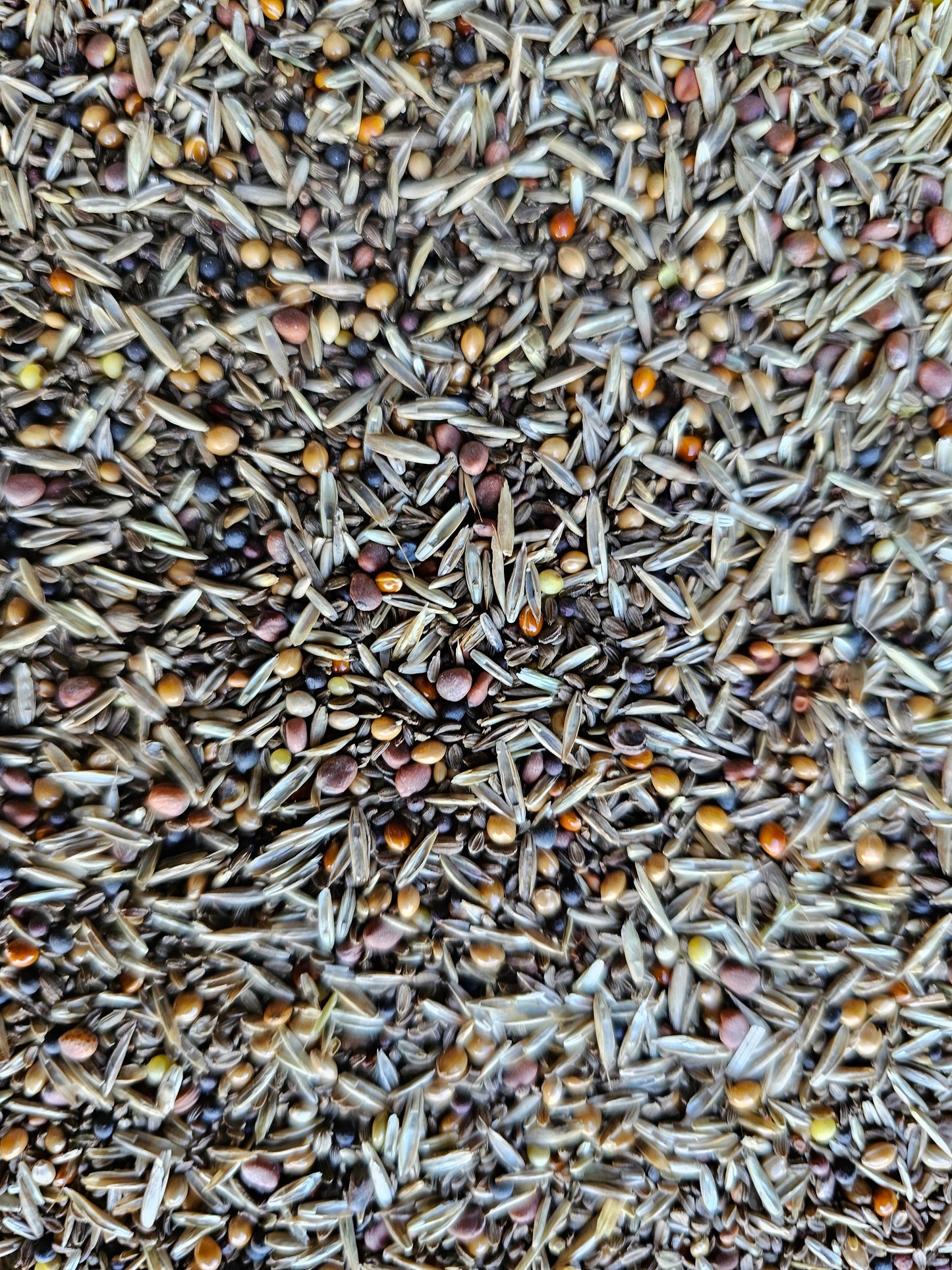 EXPERT Onkruidenzaden 1kg - Witte Molen