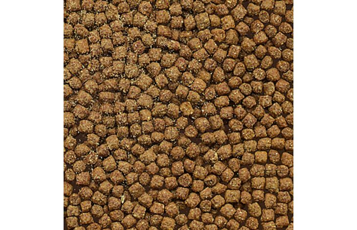 Cichlid Korrelvoer 500ml - Flamingo