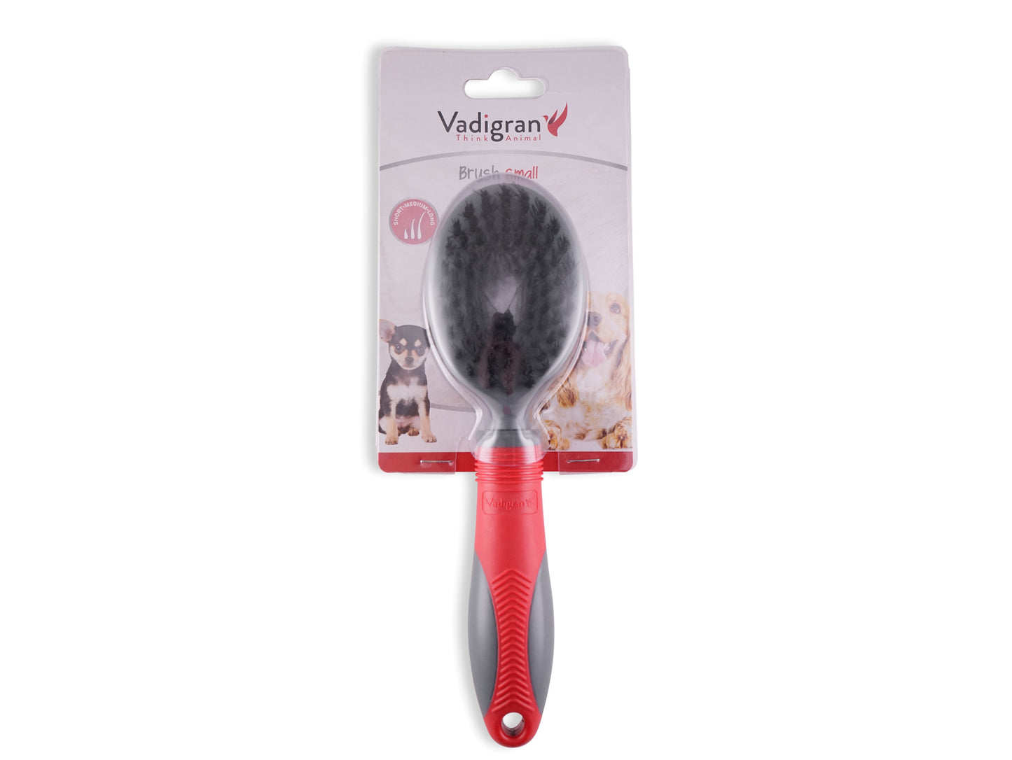 Borstel S - Honden & Katten