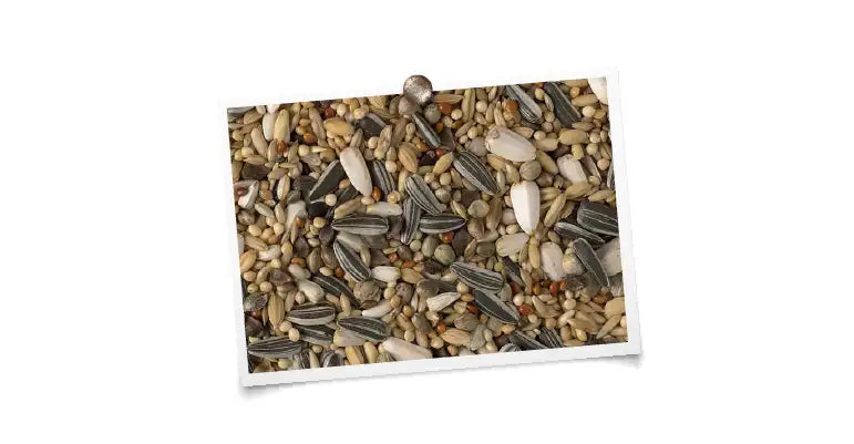 Australische Parkieten “Luxe” 5kg