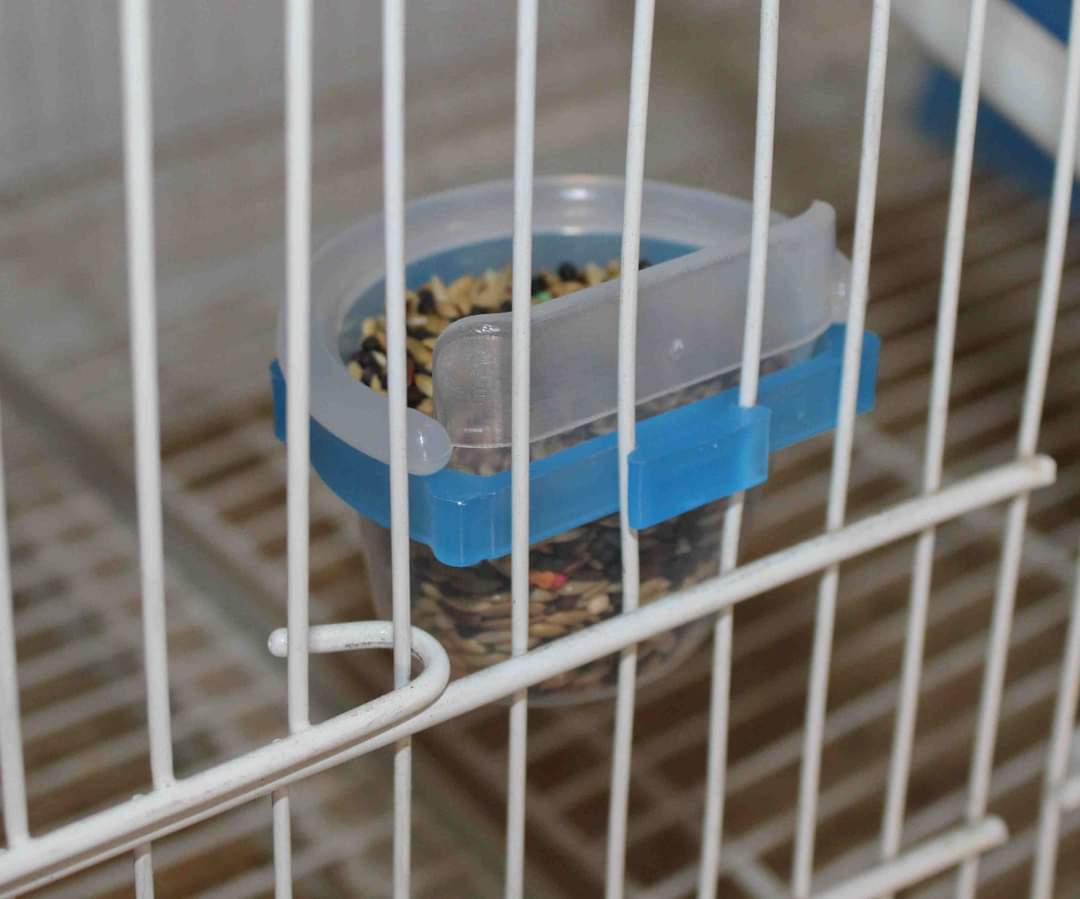 Eetpot + Ring Anti Verspilling Rand ( 3 modellen )