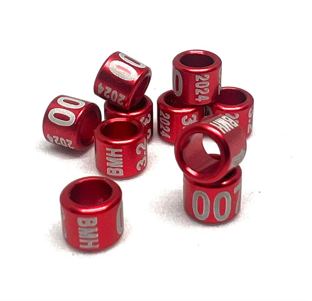 Gesloten Jaarringen 2024 - 3.2 mm