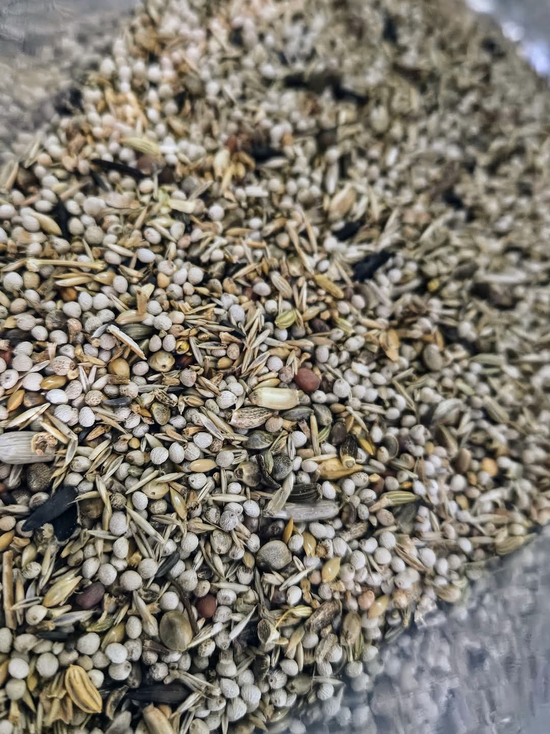 EXCELLENT MIX Frigolis 4kg - Speciale Zaden ( ¹ ) Ornizin