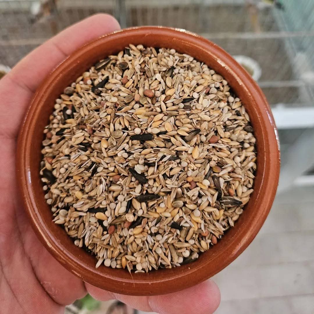 Excellent MISTER CARDUELIS 4kg - Distelvinken - Speciale Zaden ( ¹ ) Ornizin