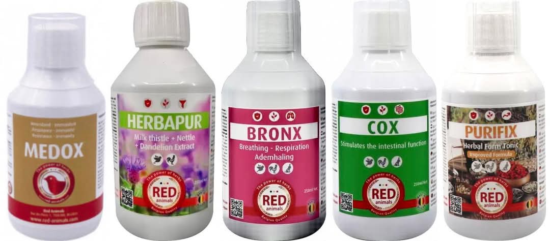 Golden Tonic All-In-One 500ml ( Dit vervangt "Medox", "Cox" en "Bronx" ) - Red Animals