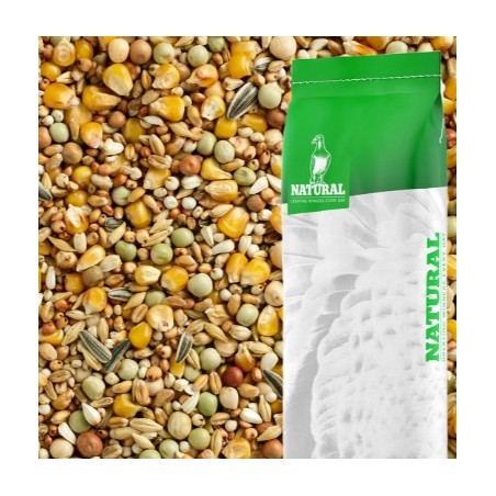 First Choice All Year 25kg - Natural