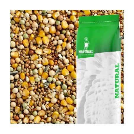 First Choice Zonder Gerst 25kg - Natural