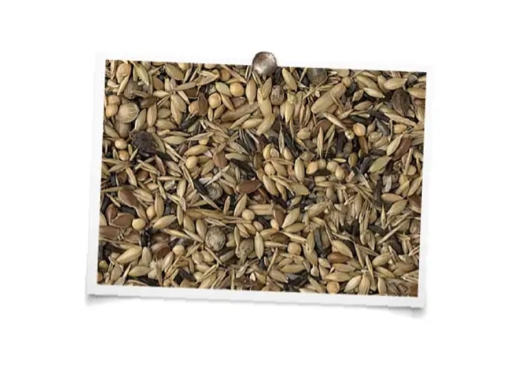 King Inlandse Vogels Zonder Raapzaad 20kg