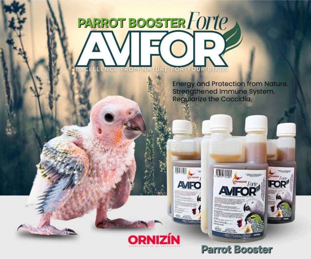 Parrot Booster 50ml - Avifor Forte - Ornizin