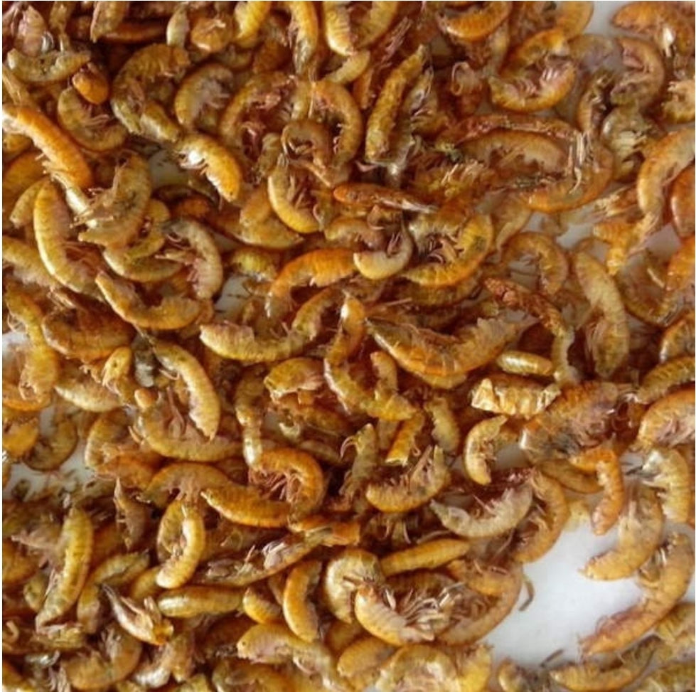 Gammarus 100 gram ( gedroogde zoetwatergarnalen )