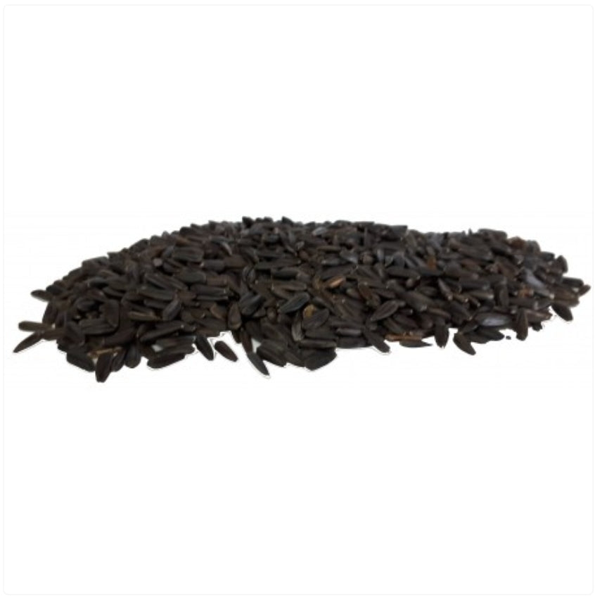 Micro Zwarte Zonnebloempitten 500 gram