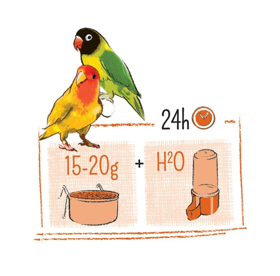 Puur agapornis 2kg
- Witte Molen