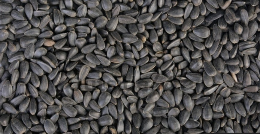 Zwarte zonnebloempitten 1kg