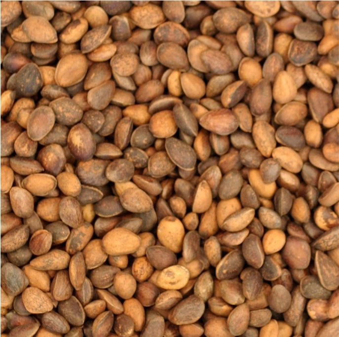 Cedernoten ( pijnboompitten ) 100 gram