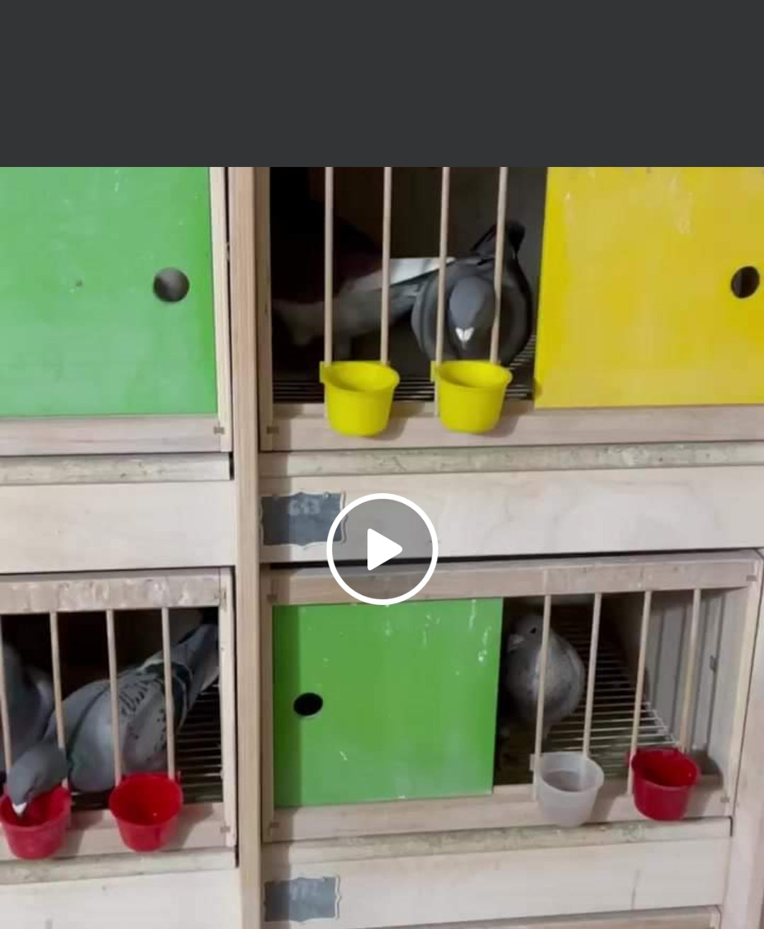 Ronde Voer- Of Drinkbak - Transparant- 5cm