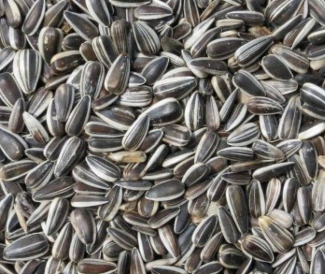 Gestreepte Zonnebloempitten 1kg