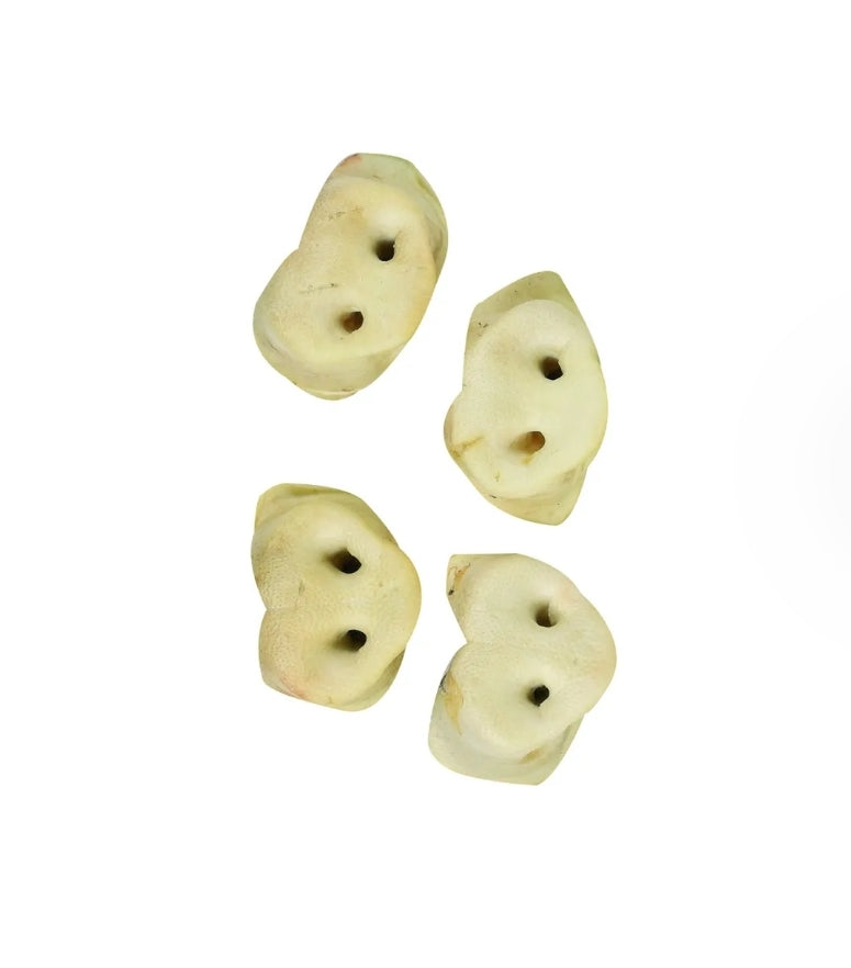 Varkensneus Gepoft met Honing - Hondensnack - 1 Stuk