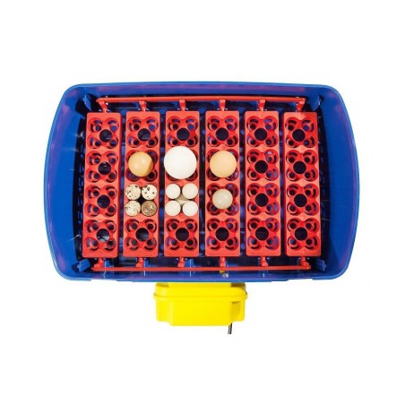 BROEDMACHINE REAL24 AUTOMATISCH