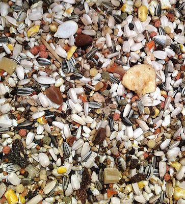 Deli Nature 64 Papegaai Suprème Fruit 15kg