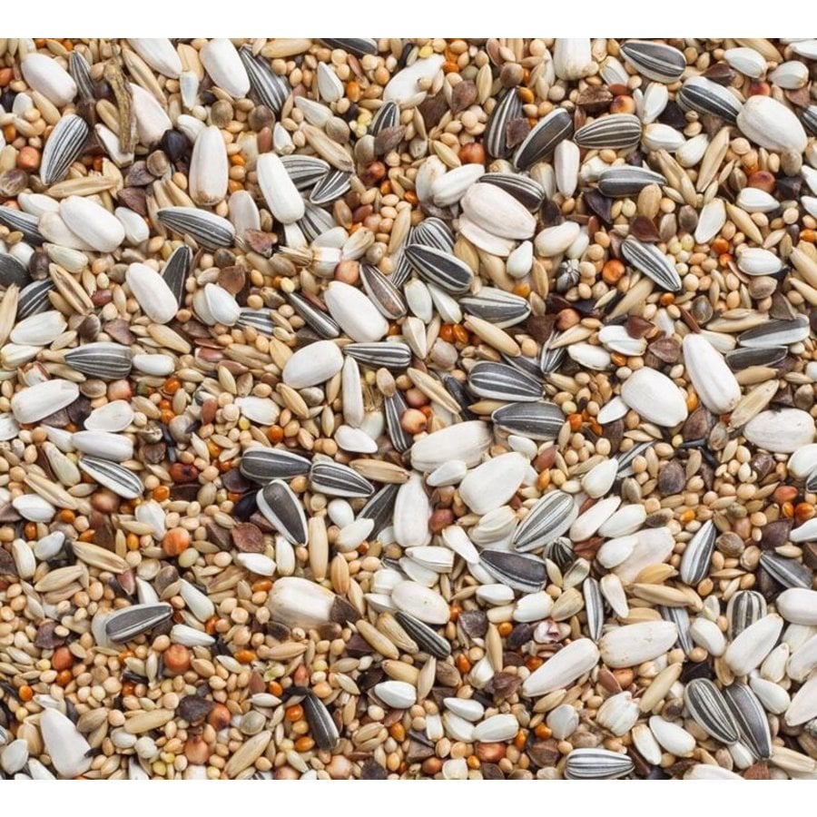 Grote Parkieten Mengeling 5kg - Merkloos