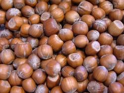 Hazelnoten in dop 1kg