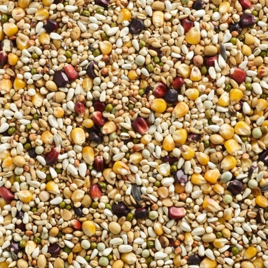 Finesse Sport - Weduwnaars & Duivinnen - 23kg ( 20kg + 3kg GRATIS - Natural