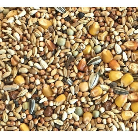 Originele Jonge Duiven 25kg - Beyers