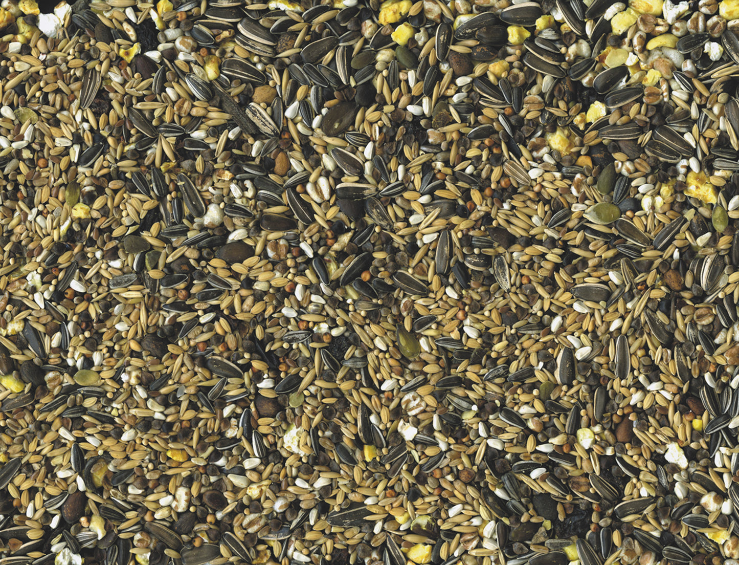 Papegaaien Condition 15kg - Vadigran