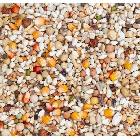 Premium Youngsters 20kg - Beyers