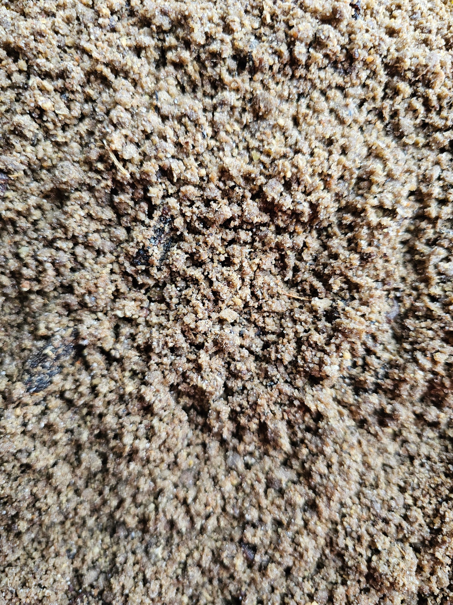 Bevo/Myna Voer Patéé Met Fruit en bessen 25kg