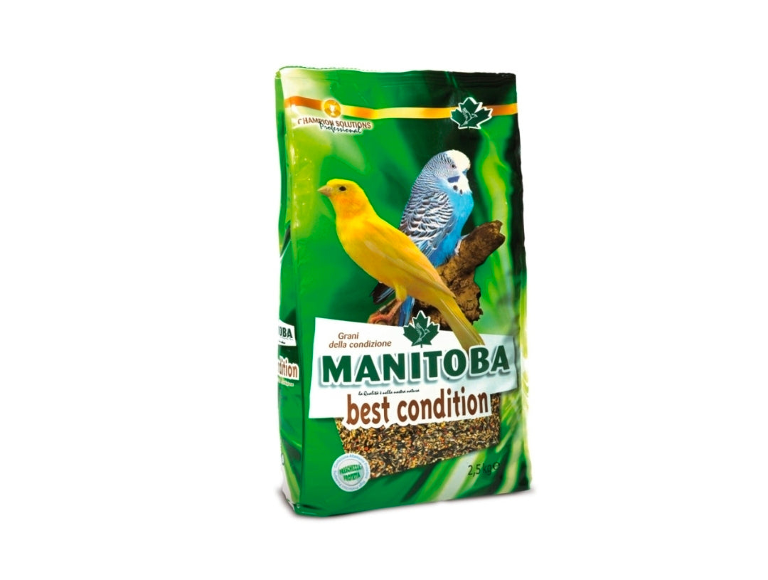Manitoba Conditiezaad 2.5 kg
