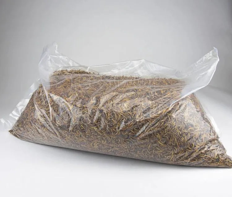 Gedroogde Meelwormen zak 5kg