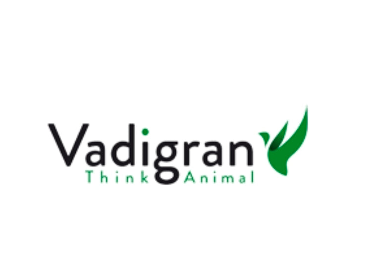 Kruidenhooi paardenbloem 500 gram - Herbal Hay Vadigran