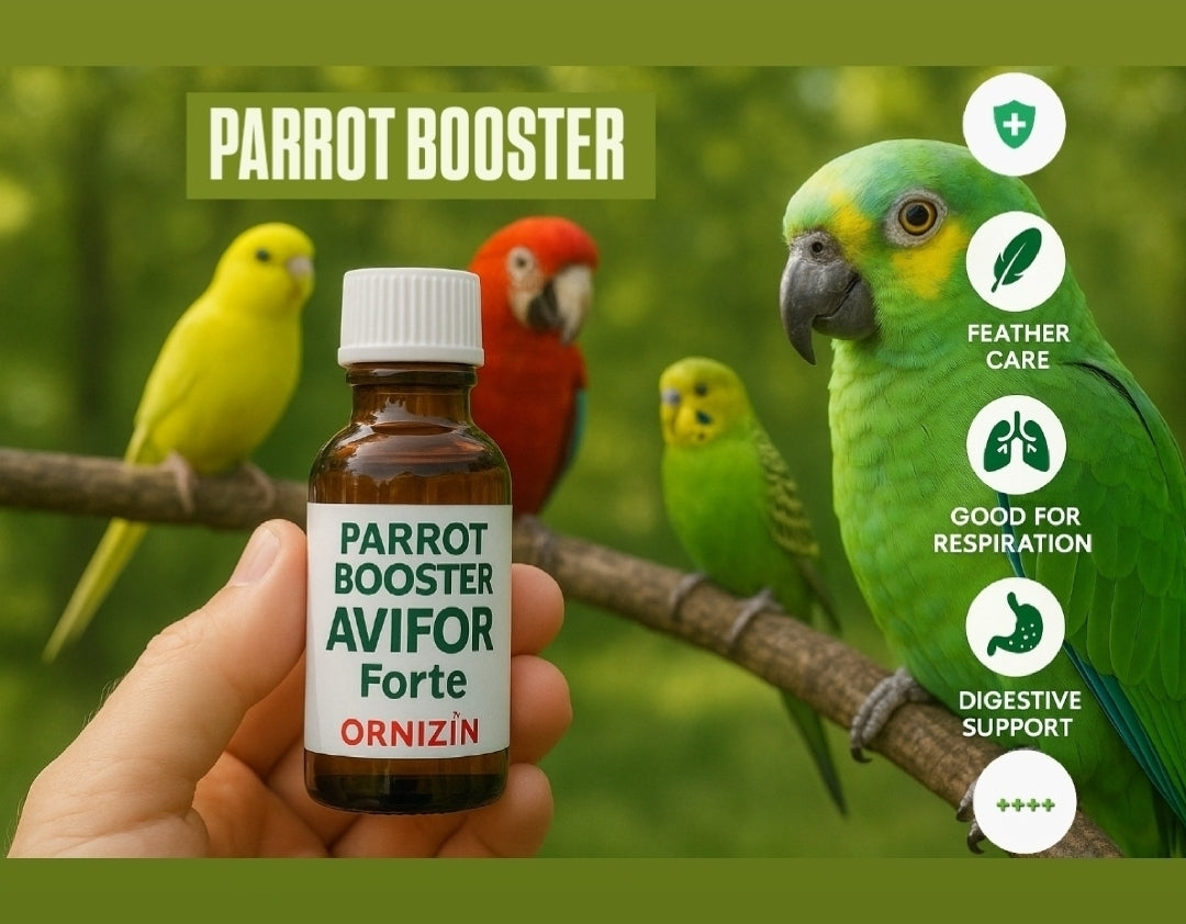 Parrot Booster 250ml - Avifor Forte - Ornizin
