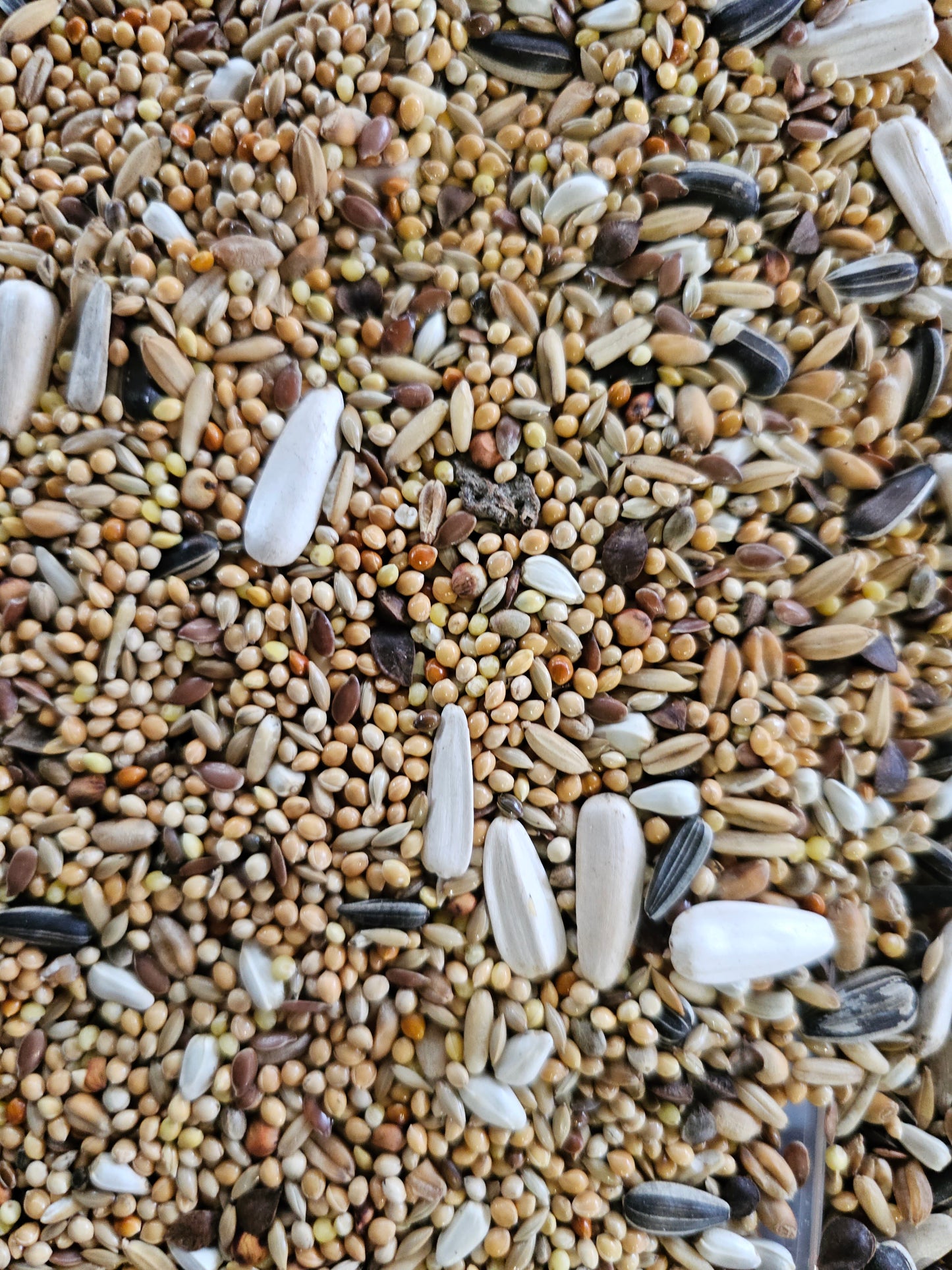 Grote Parkieten Mengeling Bird-X 20kg