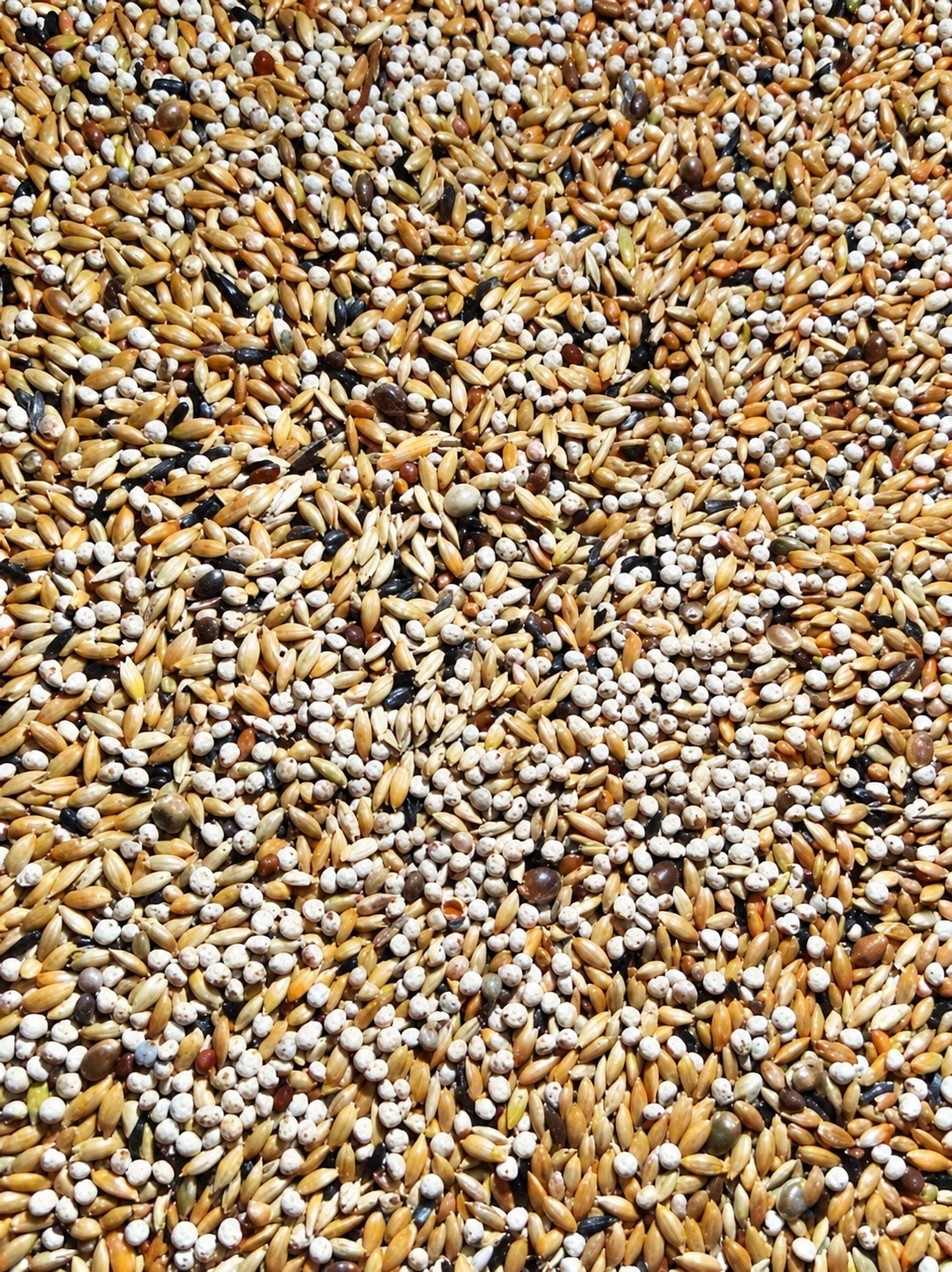 Manitoba Kanarie T3 Platino (Met Perilla +++ ) - 5kg