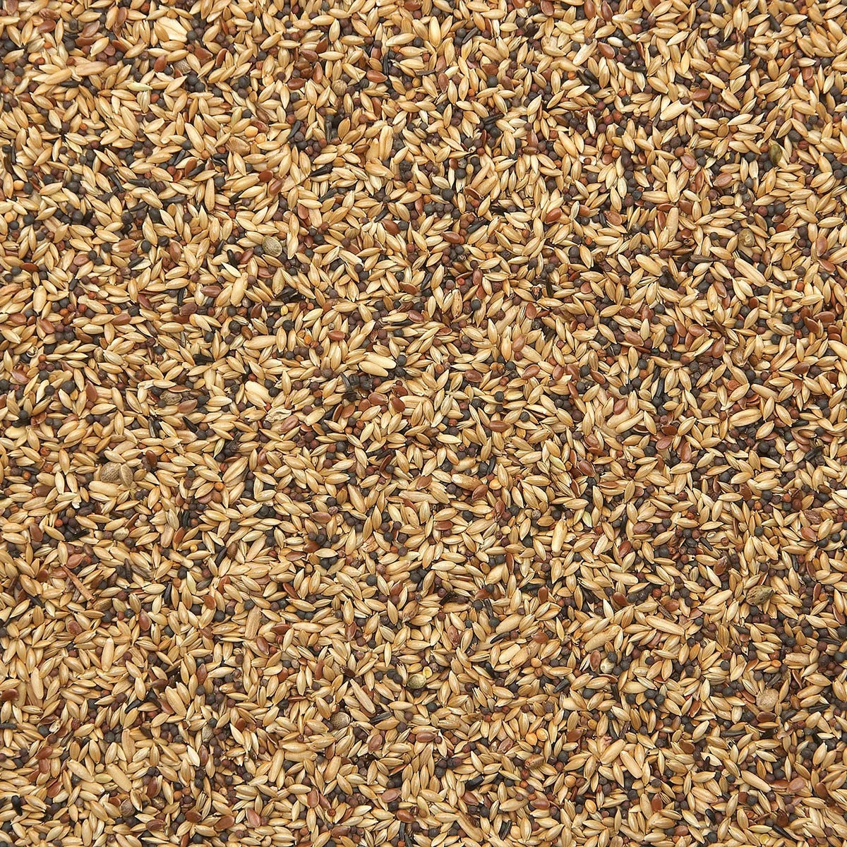 Bird Supreme – Kanarie zangzaad extra (20kg) - Excellent