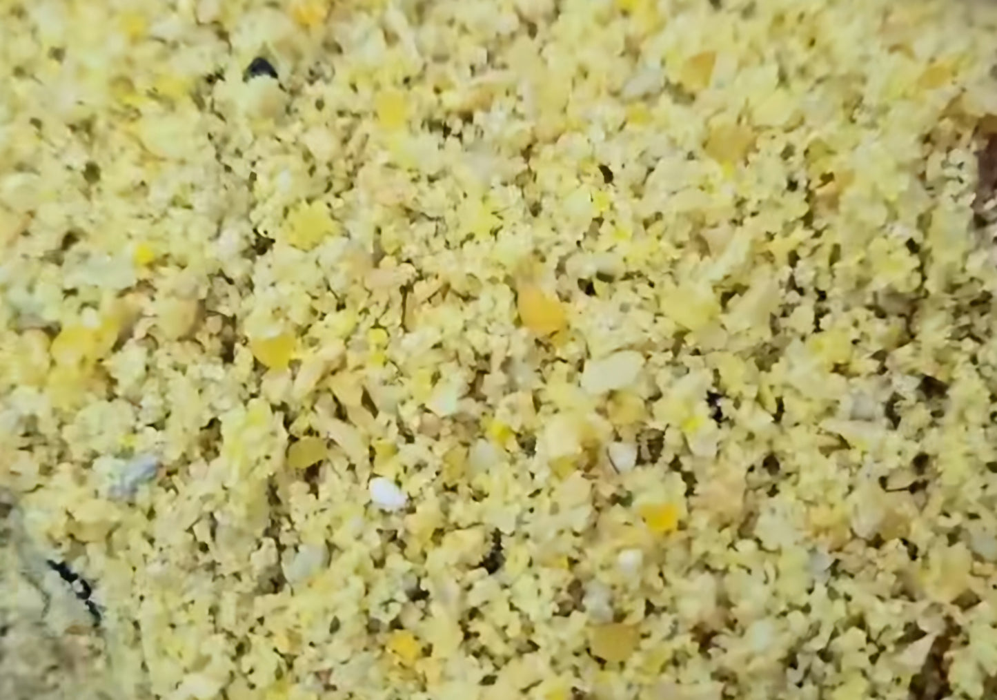 Canary Supreme Deluxe 4kg Ornizìn