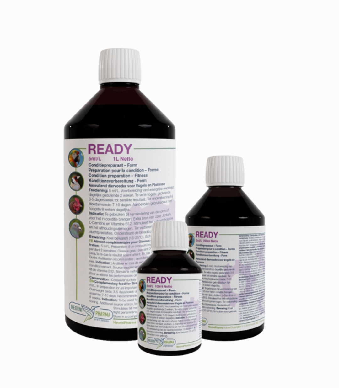 Ready 250ml ( Extra Energie Boost, Vit B12, L-Carnitine ) - Neornipharma