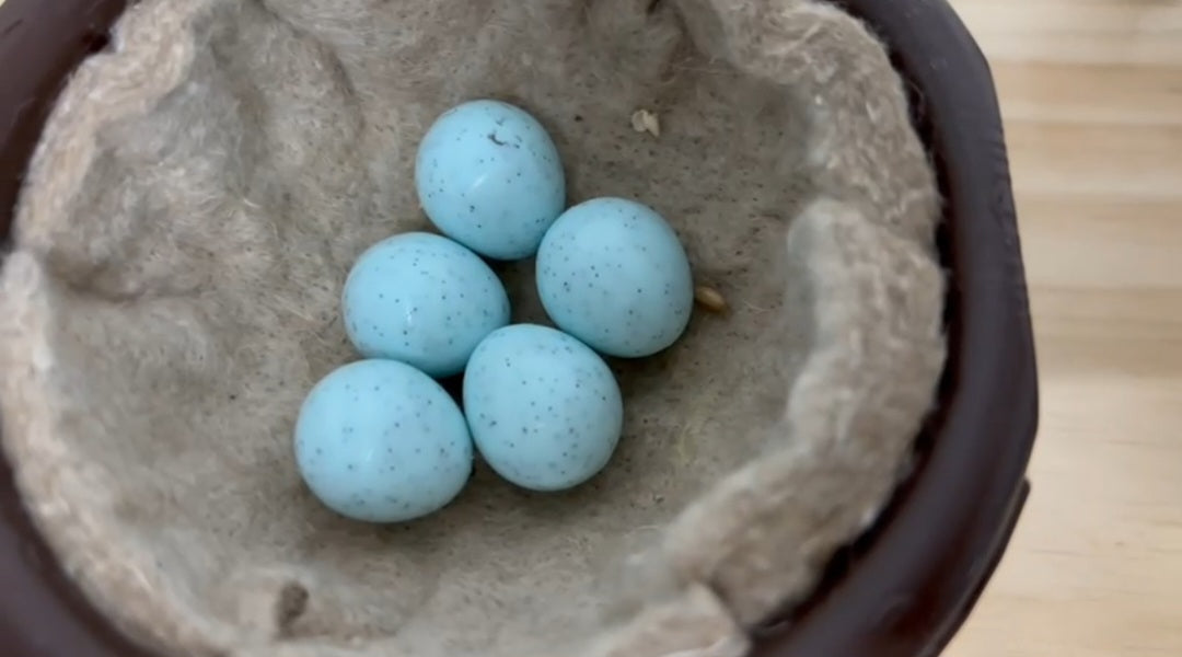 Kunststof Eieren Parkieten ( 24 st ) - Moldes Ave