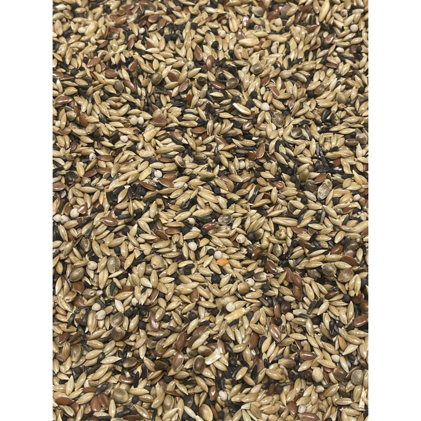Postuur Kanarie Excellent René Alssema 20kg Bird Supreme