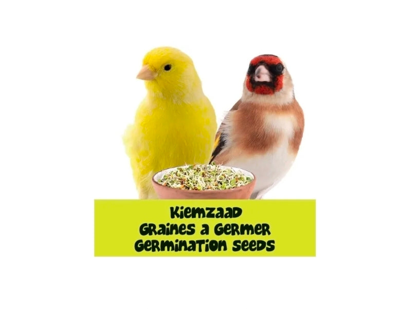 Bird-X Kiemzaad 5kg - Kanaries en vinken